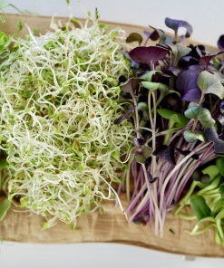 Alternative view of Alfalfa Fresh Salad, 100g