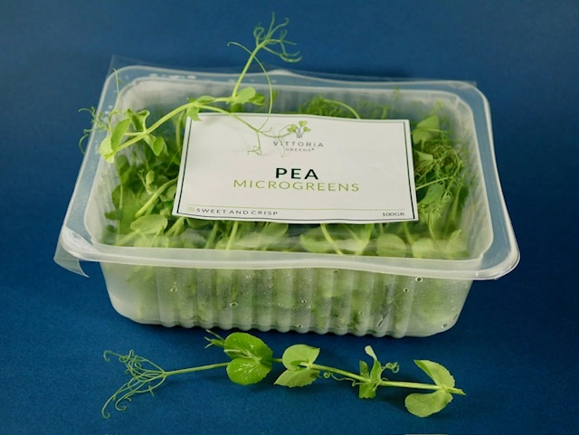 Pea microgreens, 100g - Image 4