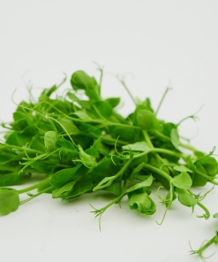 Alternative view of Pea microgreens, 100g