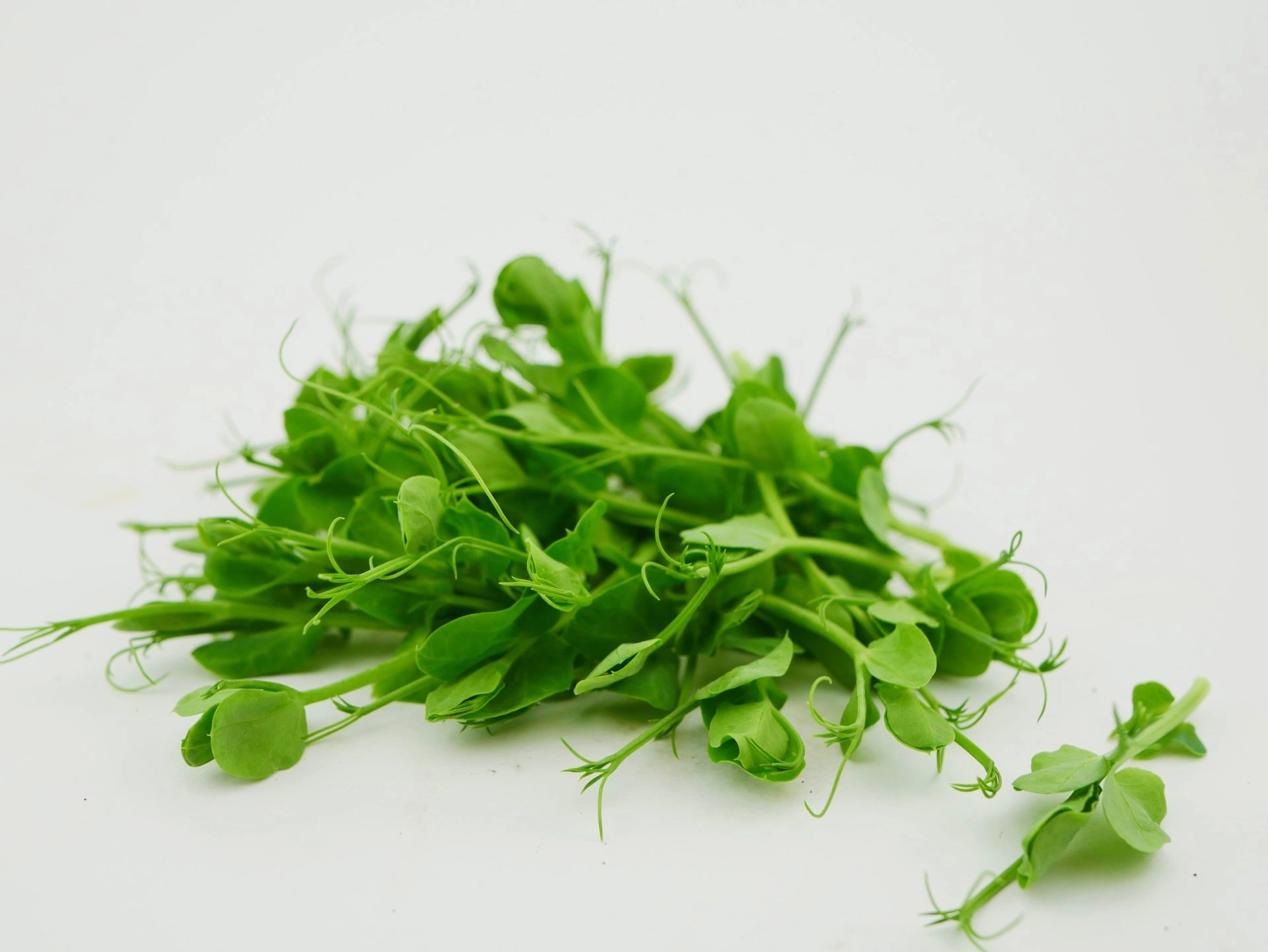 Pea microgreens, 100g - Image 2