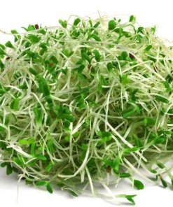 Alfalfa microgreens, 50g
