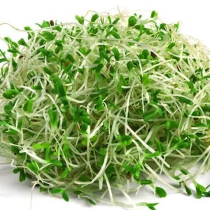 Alfalfa microgreens, 50g