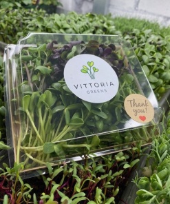 Microgreens Healthy Mix, 100 g