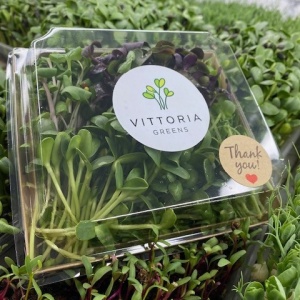 Microgreens Mix, 100 g