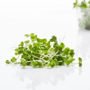 Mustard microgreens, 20g