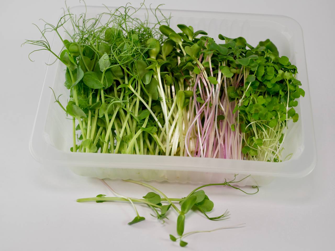 Immunity Boost Salad, 100g - Image 4