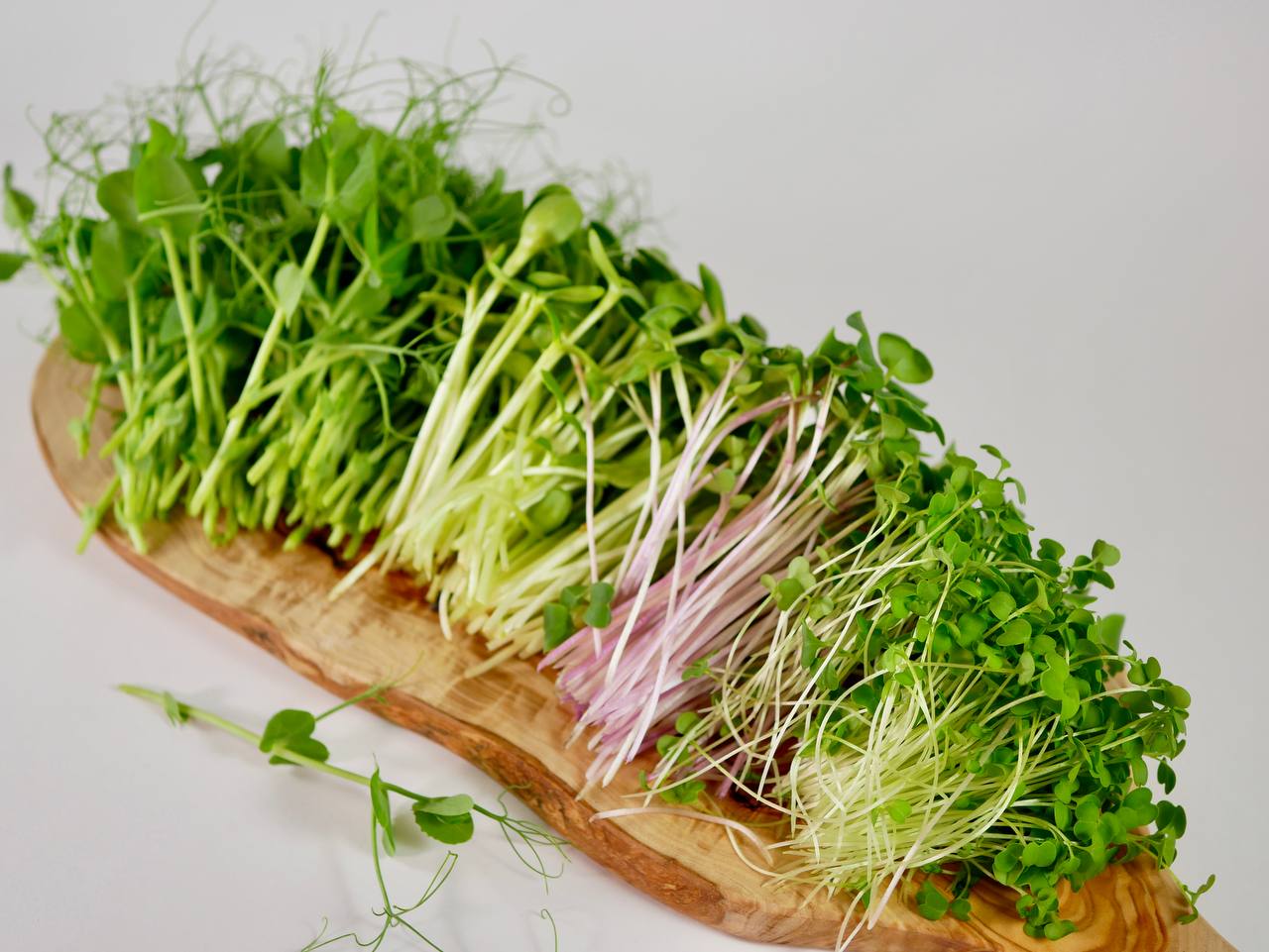 Immunity Boost Salad, 100g