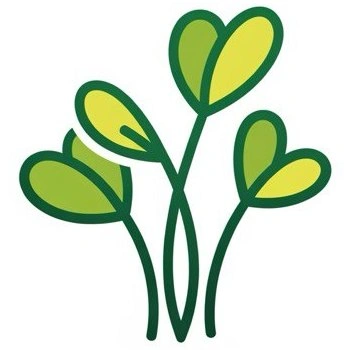 Vittoria Greens